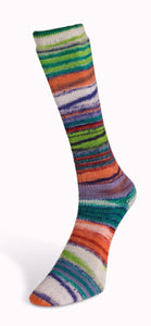 Eclectic Sock 03