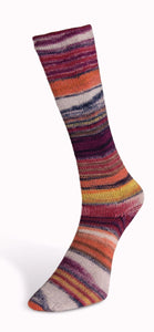 Eclectic Sock 04