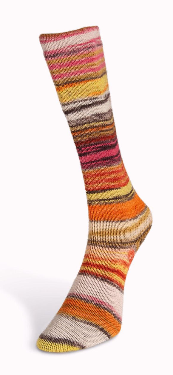 Eclectic Sock 05