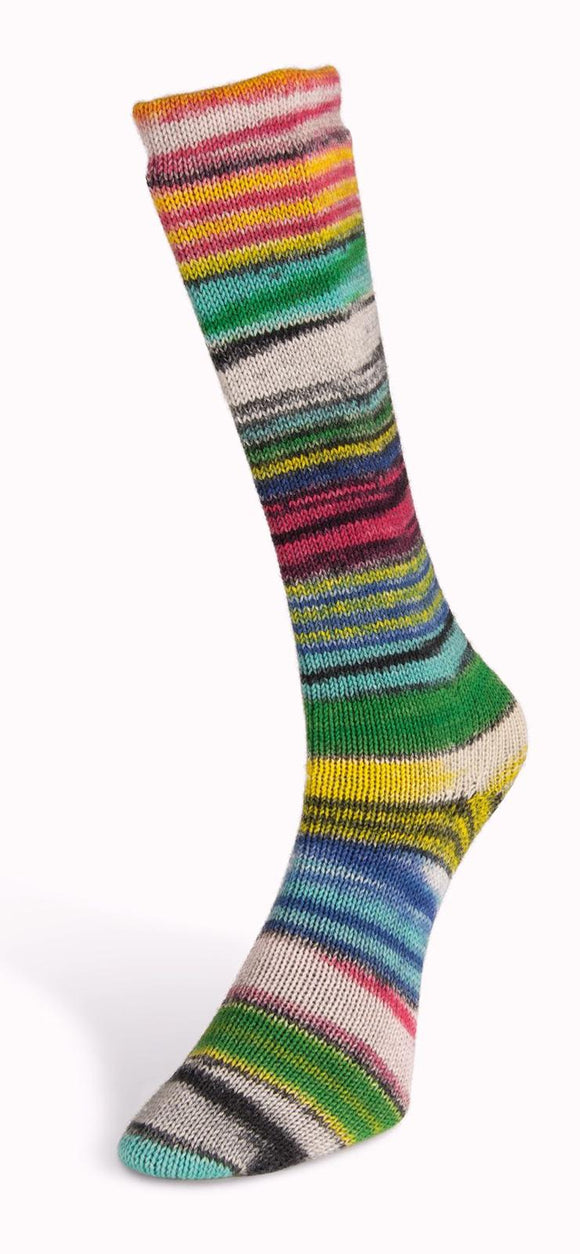 Eclectic Sock 06